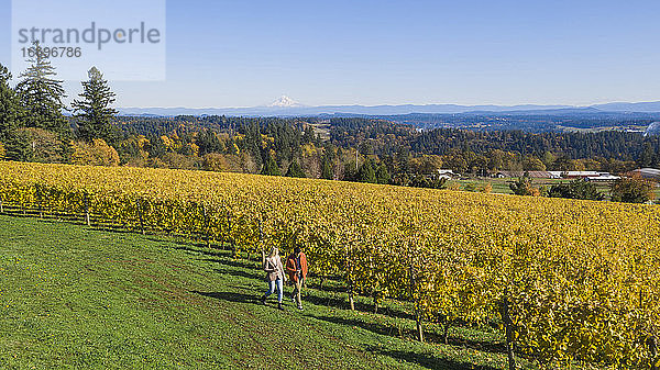 Ein junges Paar spaziert durch einen Weinberg auf einem Weingut in Oregon.