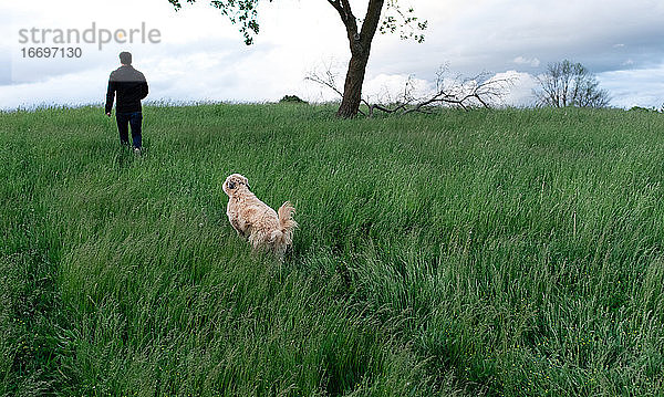 Ein Hund folgt einem Mann durch ein hohes Grasfeld an einem Frühlingstag.