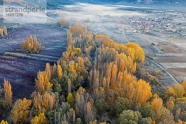 Spanien  Cuenca  Weidenanbau in Canamares im Herbst