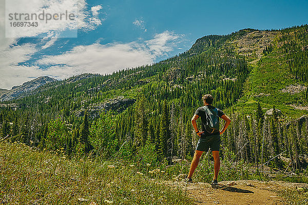 Junger Mann beim Wandern auf dem Berg Aspen im Sommer in Colorado.