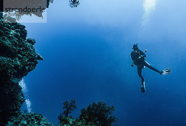 Taucher bei der Erforschung von Korallen am Great Barrier Reef