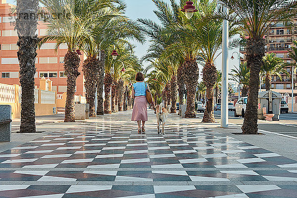 Frau geht mit ihrem Hund auf einer von Palmen gesäumten Straße spazieren