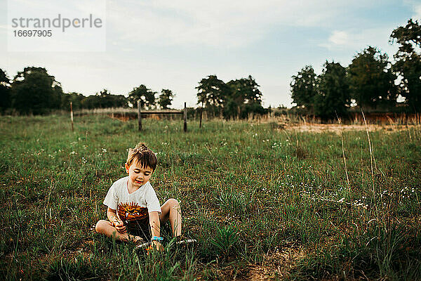 Junge sitzt auf einem offenen Feld und pflückt Blumen
