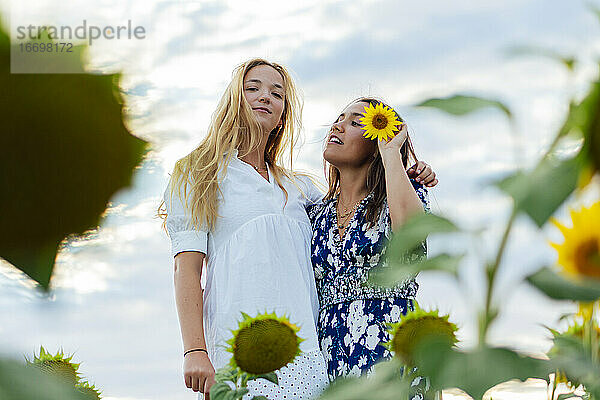 Ein Paar attraktiver Frauen  eine blond und die andere brünett  posieren in ihren Designerkleidern in einem Sonnenblumenfeld