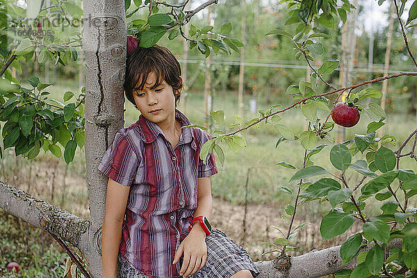 Porträt eines schönen Jungen  der nachdenklich in einer Apfelplantage sitzt