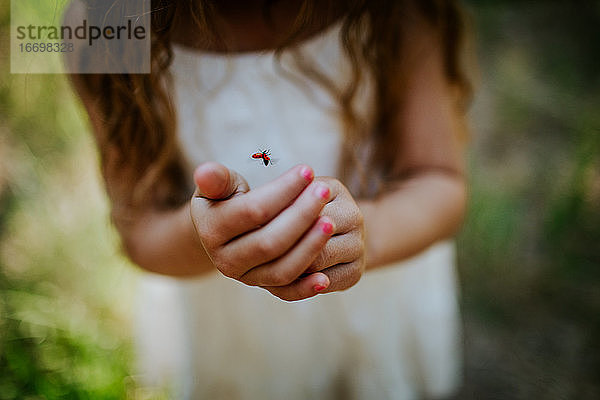Nahaufnahme eines Marienkäfers  der aus den Händen eines jungen Mädchens fliegt