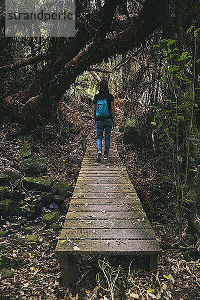Junge Frau geht über eine Brücke im Banks Peninsula Forest  NZ