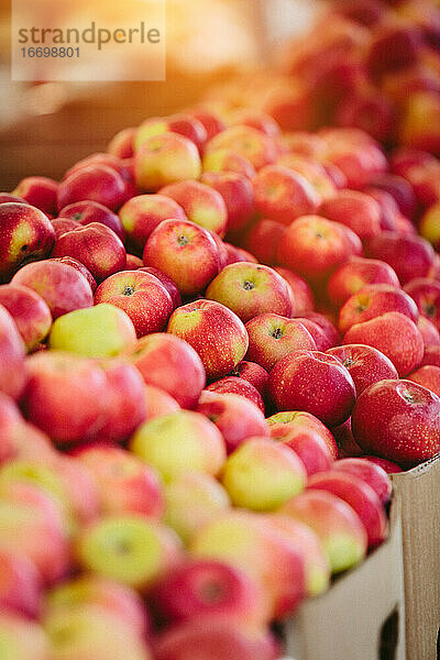 Frische Äpfel auf dem Farmers' Market