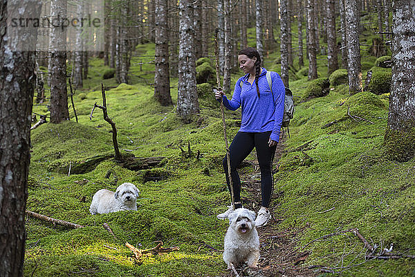 Eine junge Frau steht mit ihren Hunden auf einem moosbewachsenen Waldweg in Norwegen