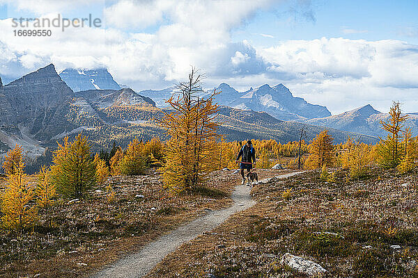 Spaziergang mit Hund von Egypt Lakes zum Healey Pass im Banff National Park