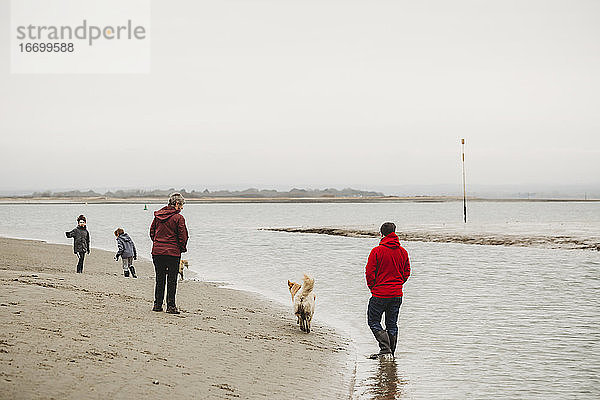 Familie geht mit Hunden am Ufer spazieren