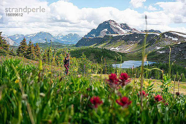 Wanderung durch Healey Pass Sunshine Meadows im Banff National Park