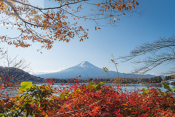 Herbstlaub im Kawaguchi-See mit Blick auf den Fuji-Berg