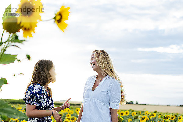 Zwei attraktive Frauen  eine blond und die andere brünett  posieren in ihren Designerkleidern in einem Sonnenblumenfeld