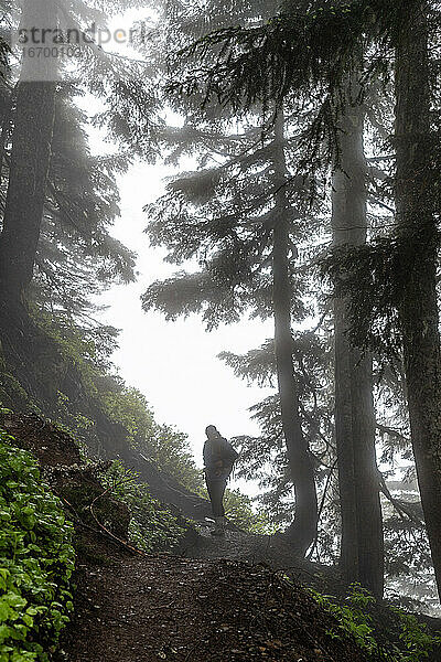 Wanderszenen in den wunderschönen North Cascades.