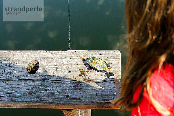 Ein junges Mädchen untersucht einen kleinen Fisch