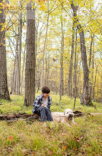 Kleiner Junge spielt an einem Herbsttag mit seinem Hund im Wald.