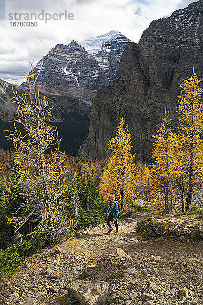 Wandern am Mount Fairview in der Nähe von Paradise Valley und Mount Temple