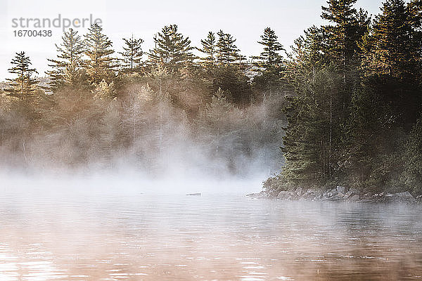 Frühmorgens steigt Nebel aus dem ruhigen Wasser des Bald Mountain Pond in Maine auf.