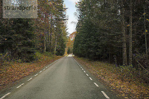 Straße im Lahemaa-Nationalpark im Herbst