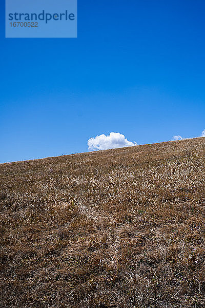 Blick auf einen Hügel mit braunem Gras zu einer Wolke am blauen Himmel in Kalifornien