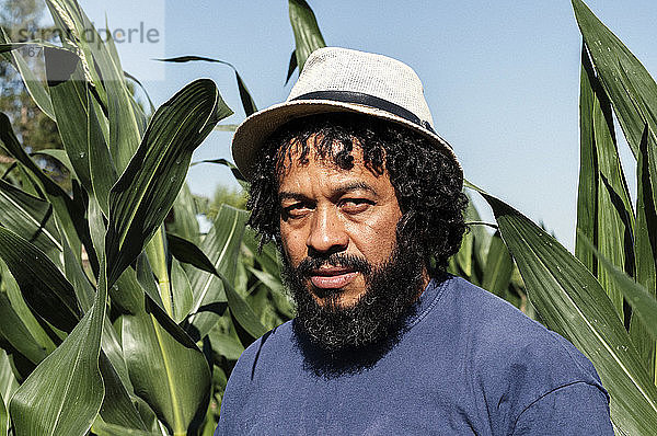 Porträt eines Afroamerikaners im Obstgarten.