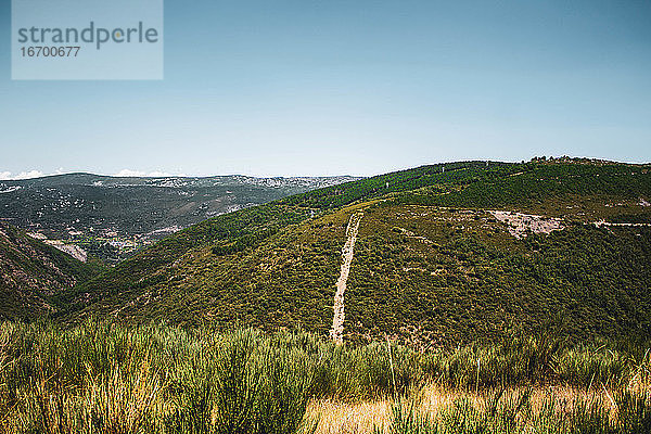 kleine Straße  die einen Berg von Kiefern mit weiteren Bergen durchquert