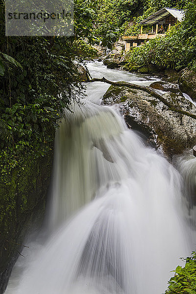 Wasserfall im Regenwald in Mindo  in der Nähe des Äquators  Ecuador