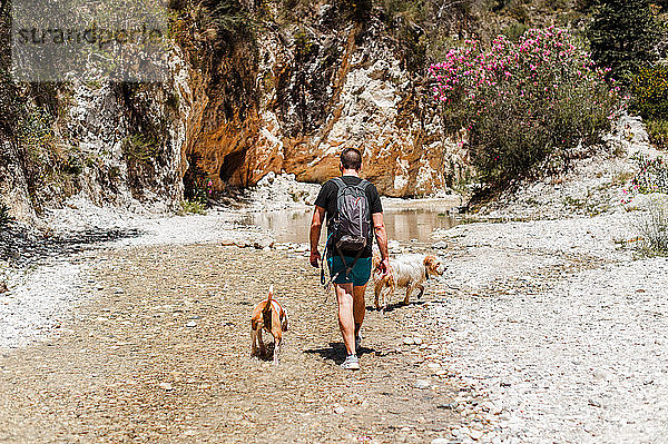 Junger Mann beim Wandern mit seinen Hunden
