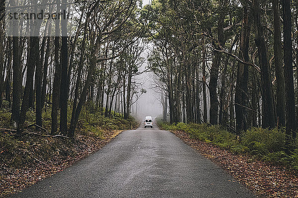 Wohnmobil auf der Straße an einem nebligen Tag in den üppigen Wäldern des Grampians National Park  Victoria  Australien