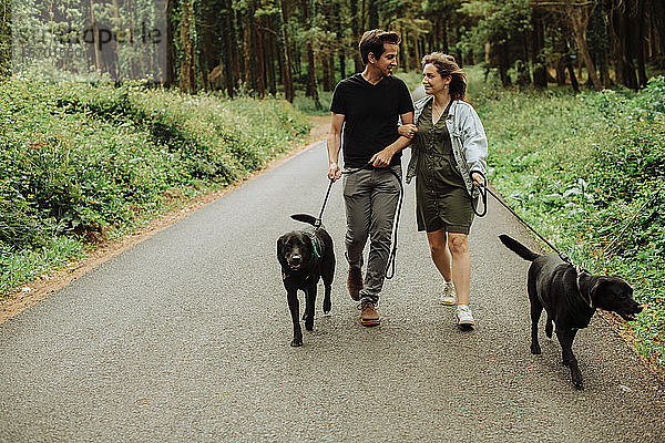 Paar schaut sich beim Spaziergang mit angeleinten Hunden im Wald an