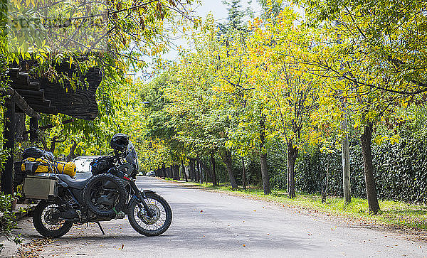 Motorradtour auf einer von Bäumen gesäumten Straße  Mendoza  Argentinien