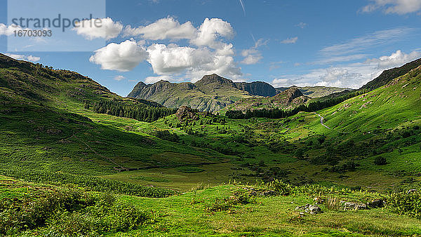 Luftaufnahme von Blea Moss und Blea Tarn mit den Langdales im Hintergrund im englischen AC District UK