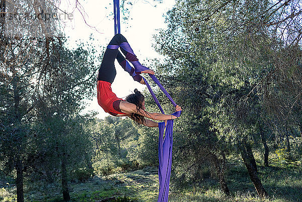 Junges Mädchen  Akrobatin. Übt Seiltanz in der Luft. Frau macht Zirkuskunststücke mit Kleidung im Wald. Skorpion-Stellung.
