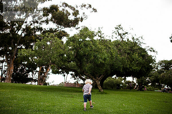 Zweijähriges Kind läuft mit dem Rücken zur Kamera durch den Park