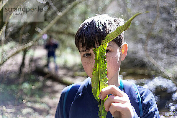 Kleiner Junge Teenager schaut hinter einem Blatt hervor