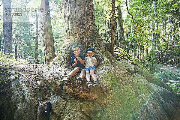 Zwei junge Entdecker sitzen unter einem alten Baum in einem natürlichen Wald.