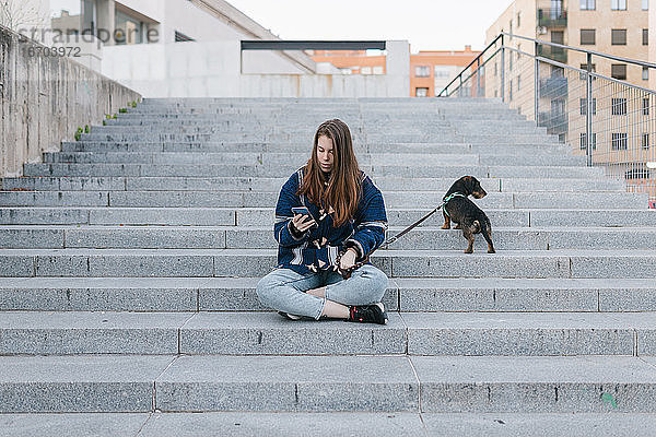 Junge erwachsene Frau sitzt nach einem Spaziergang neben ihrem Hund und schaut auf ihr Handy