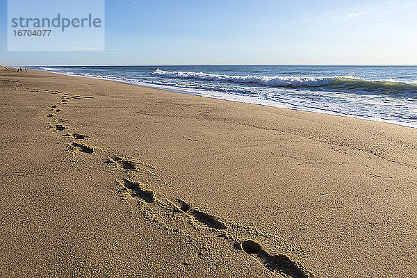 Fußabdrücke im Sand am unberührten Whitecrest Beach auf Cape Cod