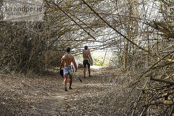 Männer mit Surfbrettern in einem Bambuswald