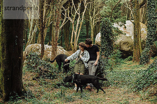 Millennial Mann und Frau mit Hunden an der Leine in der natürlichen Park