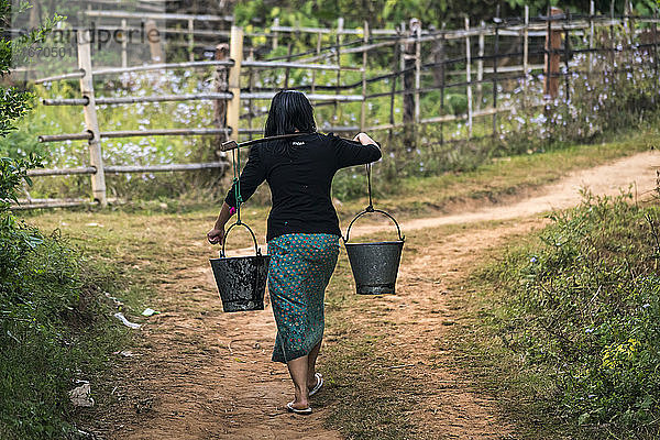 Rückansicht einer Frau  die mit einem Bambusstock Wassereimer trägt  im Dorf Palong  in der Nähe von Hsipaw  Myanmar
