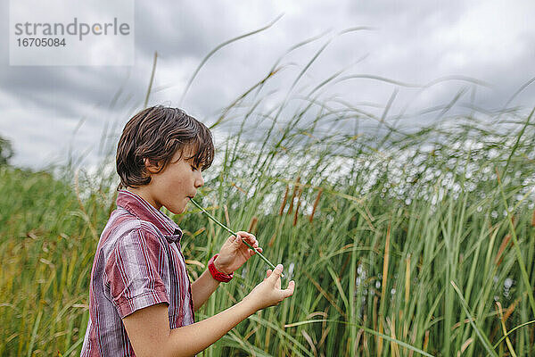 Ein Junge steht an einem bewölkten Tag im hohen Gras und spielt ein Schilfrohr als Flöte