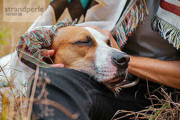 Hund mit geschlossenen Augen im Poncho im Freien  vom Menschen umarmt