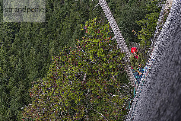 Mann sitzt auf großem Baum sehr hoch an der Wand Felsklettern auf Granit