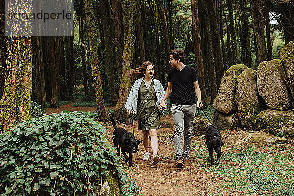 Paar mit Hunden an der Leine  die sich gegenseitig anlächeln  Spaziergang im Wald