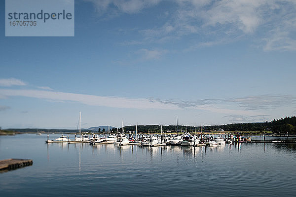 Segelboote an einem Tag mit blauem Himmel im Hafen von Lopez Island