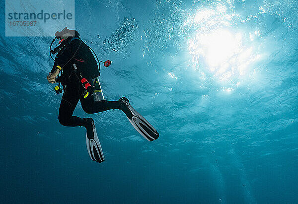 Taucher  der am Great Barrier Reef an die Oberfläche steigt