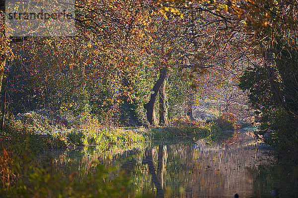 der stille Basingstoke-Kanal im Herbst