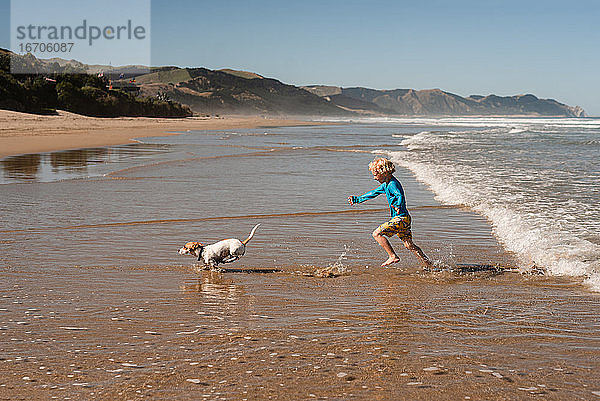 Glückliches kleines Kind  das mit einem kleinen Hund an einem Strand in Neuseeland spielt